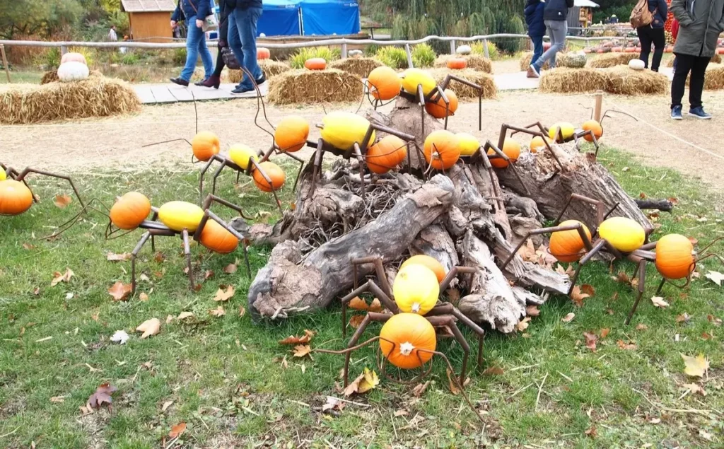 Ludwigsburg pumpkin festival